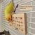 Pawzy Jouets pour Oiseaux - Divertissement au Déchirement