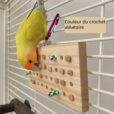 Pawzy Jouets pour Oiseaux - Divertissement au Déchirement
