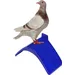 Taubenstangen, Vogelstangenhalterung