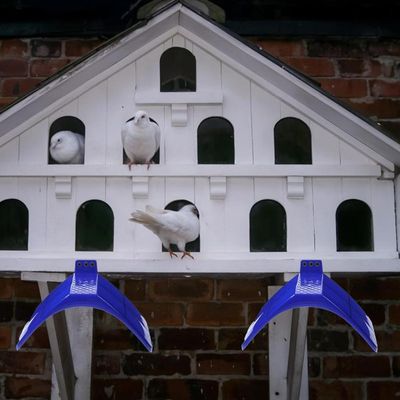 UAMLY Perchas para palomas, soportes para perchas de pájaros