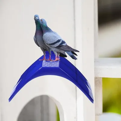 Perchoirs à pigeons Support de perchoir pour oiseaux