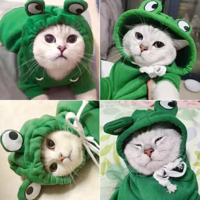 Zoomtopia Kapuzenpullover für Katzen Zoomtopia Kapuzenpullover für Katzen