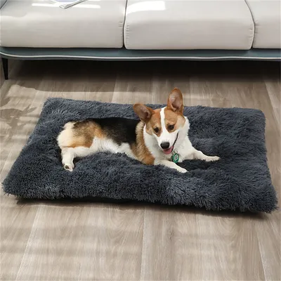 IntiMeg Matelas de lit pour chien en peluche