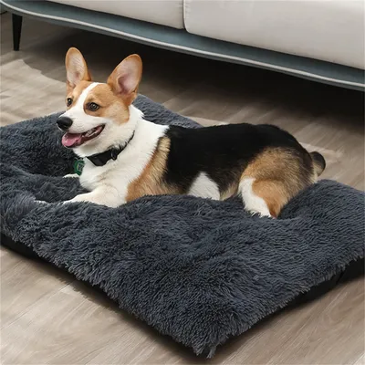 IntiMeg Plüsch-Hundebett IntiMeg Plüsch-Hundebett