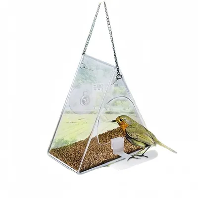 Zoomtopia Fenêtre de mangeoire à oiseaux