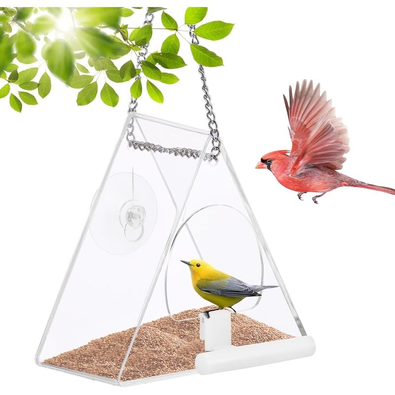 Zoomtopia Fenêtre de mangeoire à oiseaux