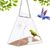 Zoomtopia Fenêtre de mangeoire à oiseaux
