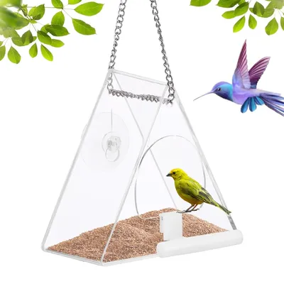 Zoomtopia Fenêtre de mangeoire à oiseaux