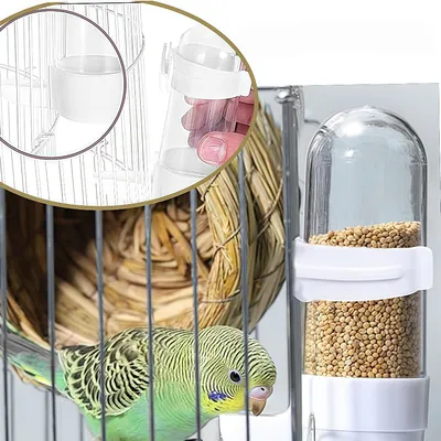 Zoomtopia Mangeoire à oiseaux