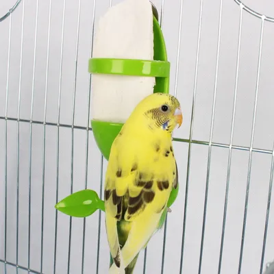 Zoomtopia Mangeoire à oiseaux 2 pièces