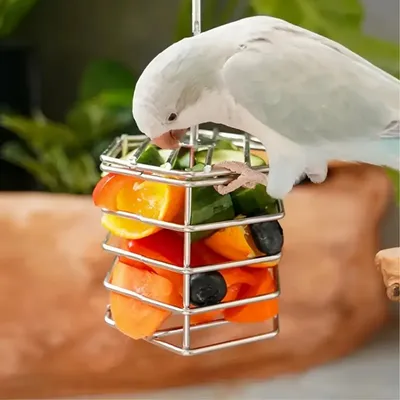 Zoomtopia Mangeoire pour oiseaux