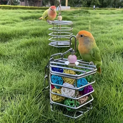 Zoomtopia Mangeoire pour oiseaux