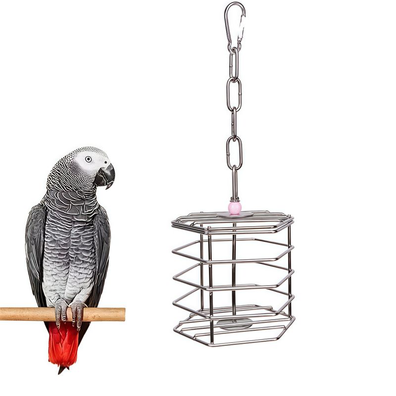 Zoomtopia Mangeoire pour oiseaux