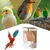 Zoomtopia Mangeoire à oiseaux pour cage