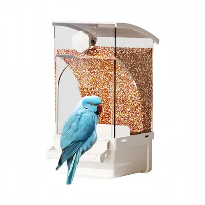 Zoomtopia Mangeoire à oiseaux pour cage