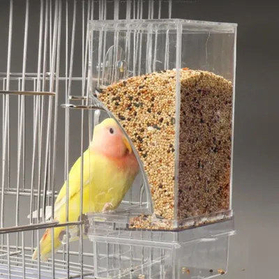 Zoomtopia Distributeur de nourriture pour oiseaux