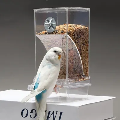 Zoomtopia Distributeur de nourriture pour oiseaux