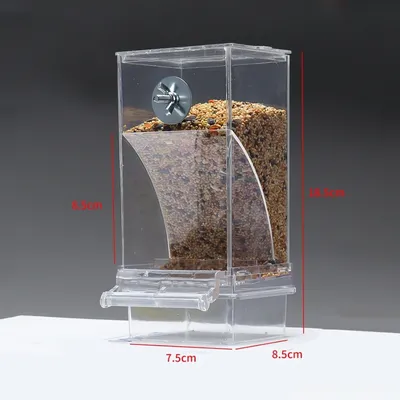 Zoomtopia Distributeur de nourriture pour oiseaux