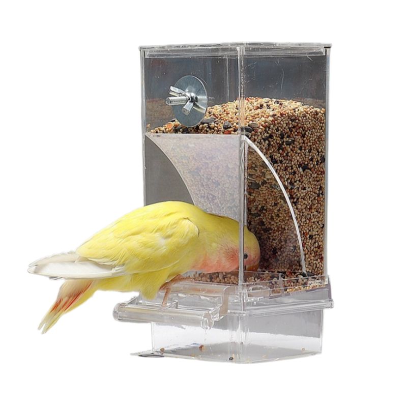 Zoomtopia Distributeur de nourriture pour oiseaux