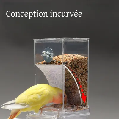 Zoomtopia Distributeur de nourriture pour oiseaux