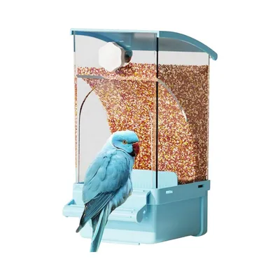 Zoomtopia Mangeoire à oiseaux pour cage