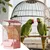Zoomtopia Mangeoire à oiseaux pour cage