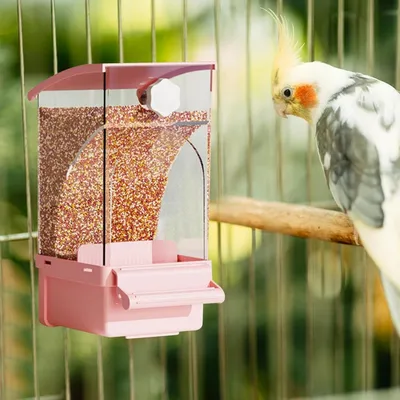 Zoomtopia Mangeoire à oiseaux pour cage