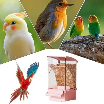 Zoomtopia Mangeoire à oiseaux pour cage