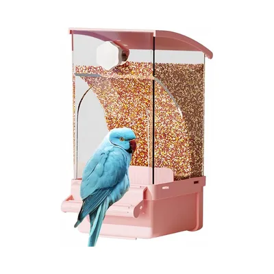 Zoomtopia Mangeoire à oiseaux pour cage