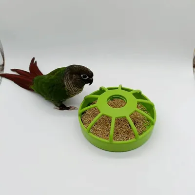 Zoomtopia Mangeoire multifonctionnelle pour animaux de compagnie