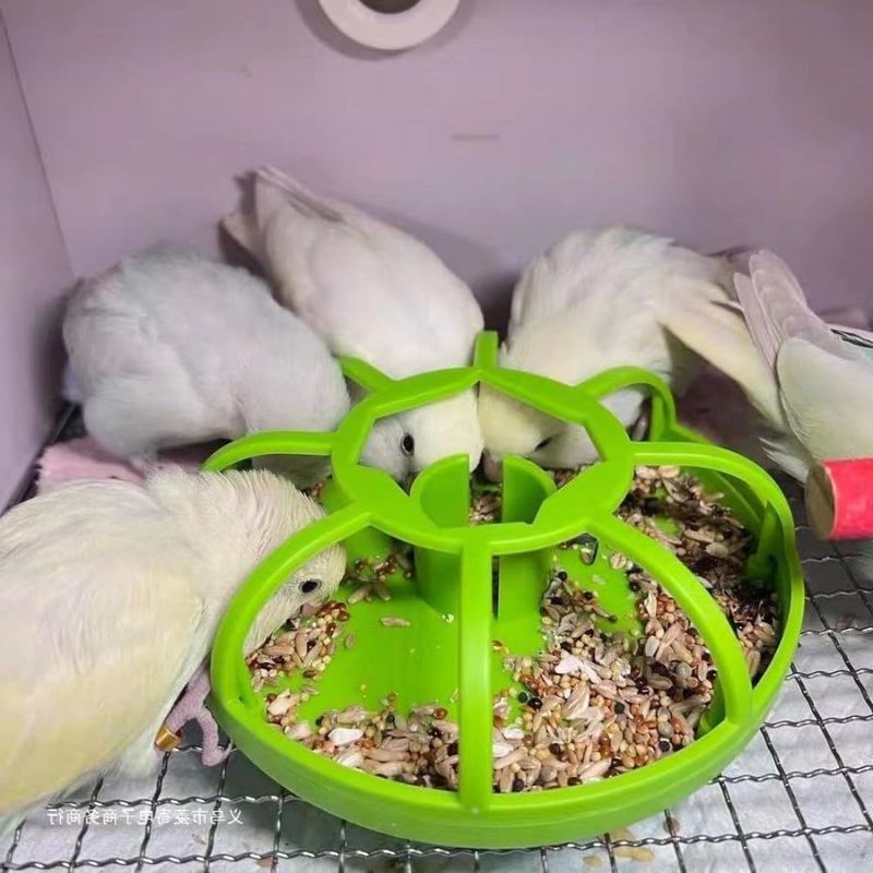 Zoomtopia Mangeoire multifonctionnelle pour animaux de compagnie