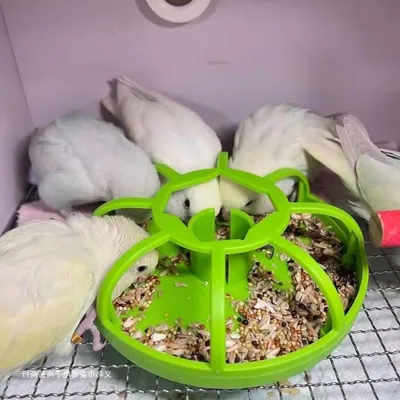 Zoomtopia Mangeoire multifonctionnelle pour animaux de compagnie