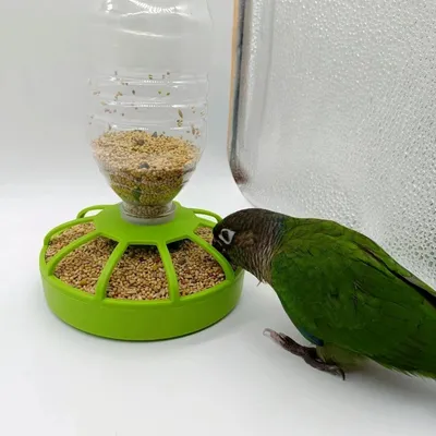 Zoomtopia Mangeoire multifonctionnelle pour animaux de compagnie