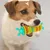 IntiMeg Jouet à mâcher pour chien en forme de chenille