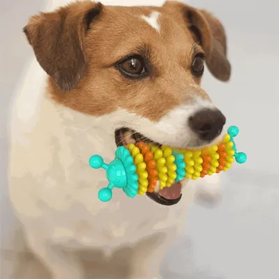 IntiMeg Jouet à mâcher pour chien en forme de chenille
