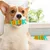 IntiMeg Jouet à mâcher pour chien en forme de chenille