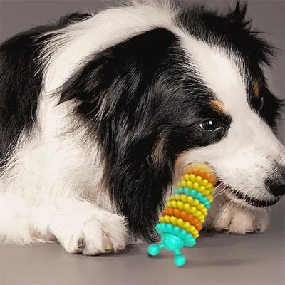 IntiMeg Jouet à mâcher pour chien en forme de chenille