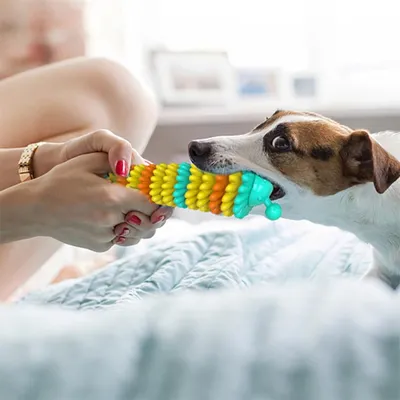 IntiMeg Jouet à mâcher pour chien en forme de chenille