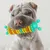 IntiMeg Jouet à mâcher pour chien en forme de chenille