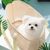 Zoomtopia Sac à dos pour chien et chat
