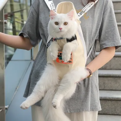 Pawzy Sac de transport pour chat