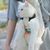 Pawzy Sac de transport pour chat