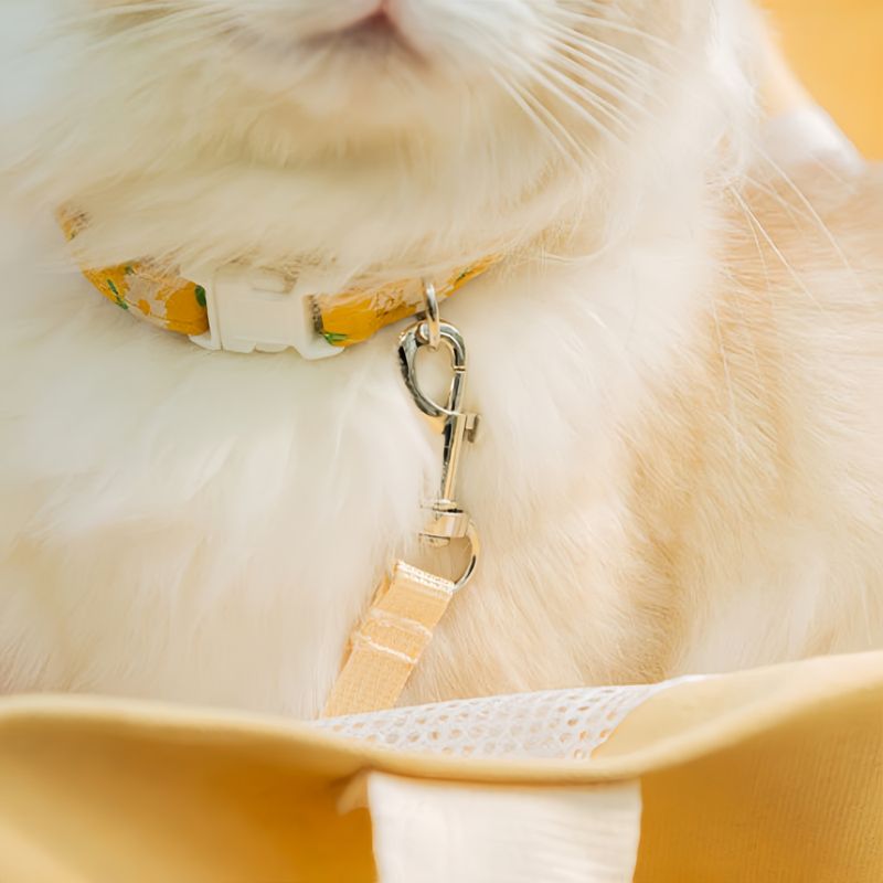 FurryFusion Sac messager portable pour chat et chien