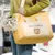 FurryFusion Sac messager portable pour chat et chien