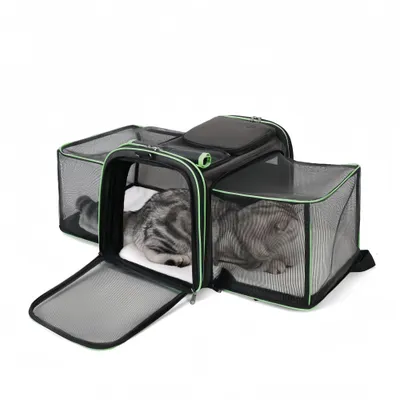 FurryFusion Sac à Dos pour Chat de Grande Taille Extensible
