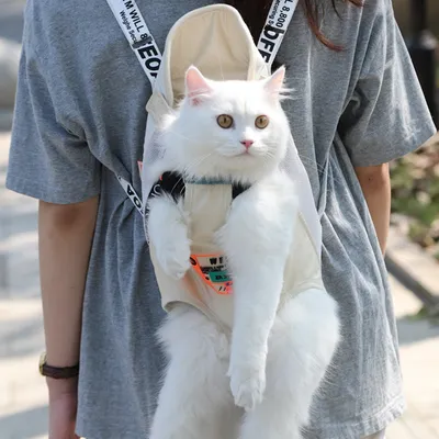 Pawzy Sac de transport pour chat