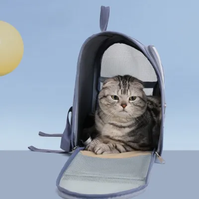 Zoomtopia Sac à dos pour animaux de compagnie