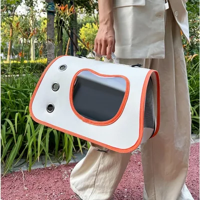 Pawzy Sac de transport pour chat