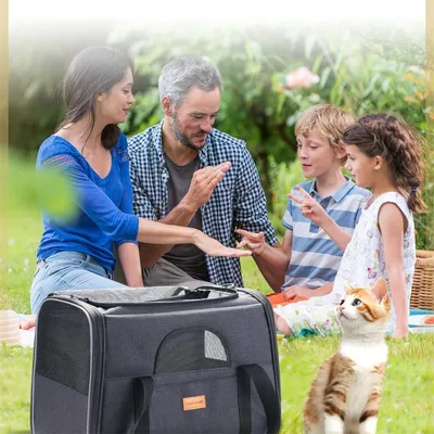 IntiMeg Sac pour chien et chat respirant et pliable