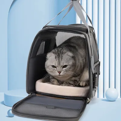 Sac de transport pour chat et chien en maille respirante